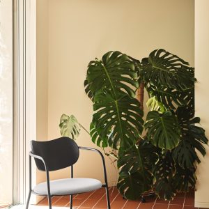 Silla de diseño eclipse de teulat